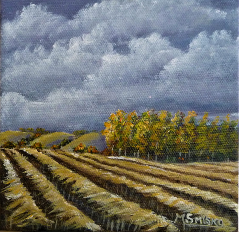 Acrylic on canvas, 6"x 6" unframed, STORMY WEATHER#1, $60, by msmiskocreations.com
msmisko@yahoo.ca
SOLD
